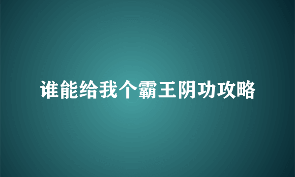 谁能给我个霸王阴功攻略