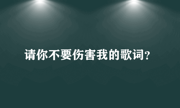 请你不要伤害我的歌词？