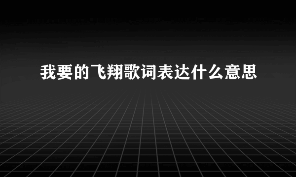 我要的飞翔歌词表达什么意思