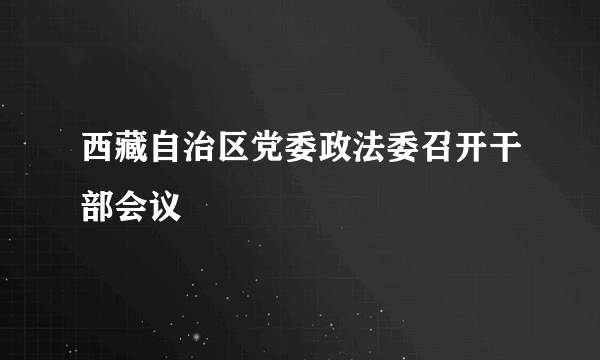 西藏自治区党委政法委召开干部会议