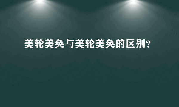 美轮美奂与美轮美奂的区别？