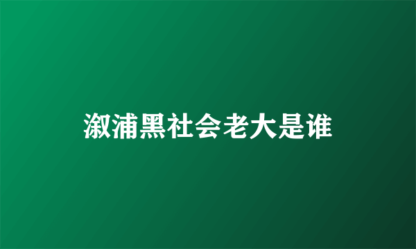 溆浦黑社会老大是谁