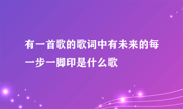 有一首歌的歌词中有未来的每一步一脚印是什么歌