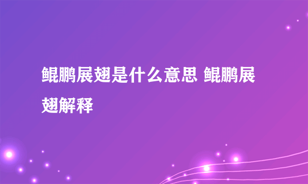 鲲鹏展翅是什么意思 鲲鹏展翅解释