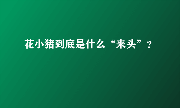 花小猪到底是什么“来头”？