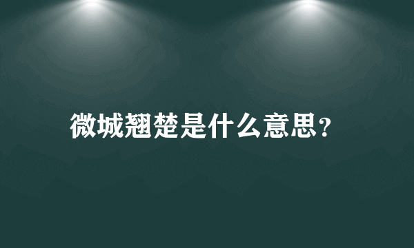 微城翘楚是什么意思？