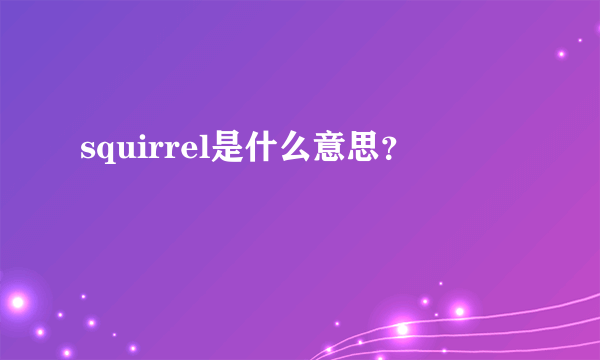 squirrel是什么意思？