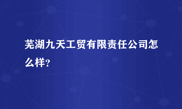 芜湖九天工贸有限责任公司怎么样？