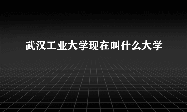 武汉工业大学现在叫什么大学