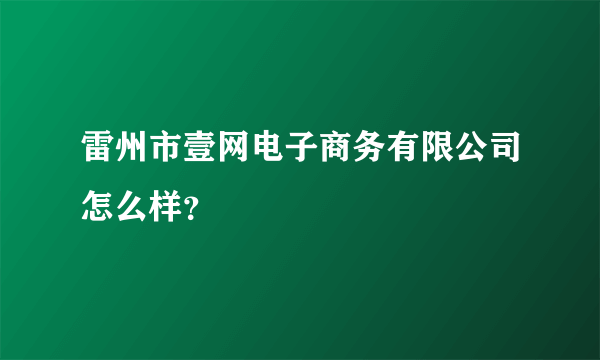 雷州市壹网电子商务有限公司怎么样？