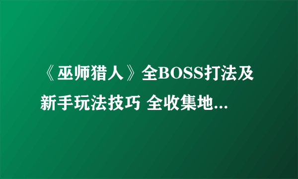 《巫师猎人》全BOSS打法及新手玩法技巧 全收集地点地图分享