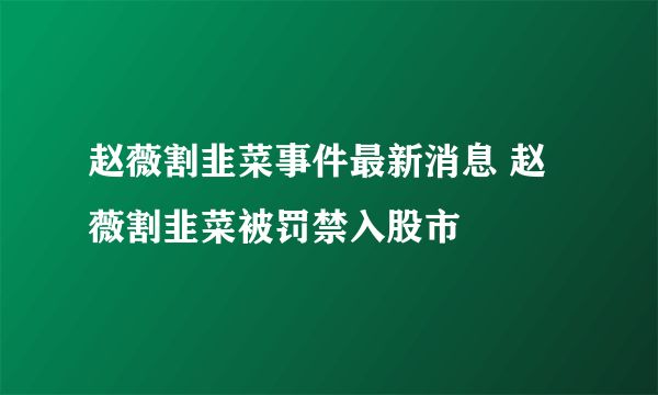 赵薇割韭菜事件最新消息 赵薇割韭菜被罚禁入股市