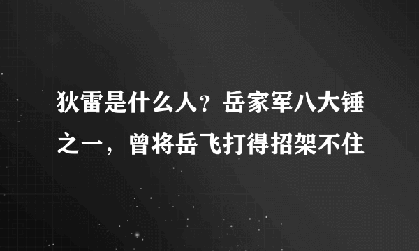 狄雷是什么人？岳家军八大锤之一，曾将岳飞打得招架不住