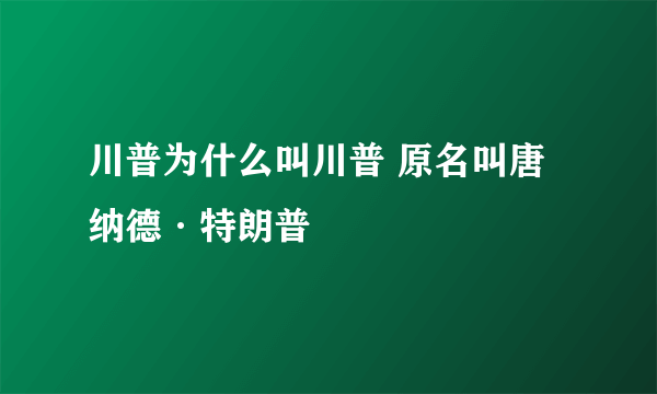 川普为什么叫川普 原名叫唐纳德·特朗普