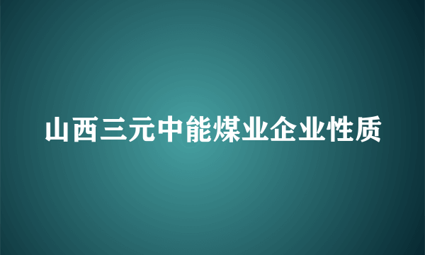 山西三元中能煤业企业性质