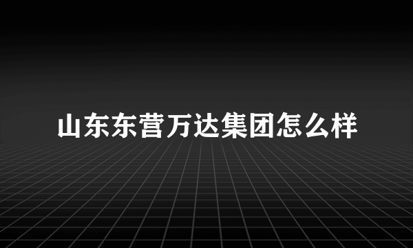 山东东营万达集团怎么样