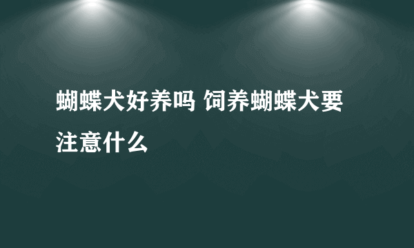 蝴蝶犬好养吗 饲养蝴蝶犬要注意什么