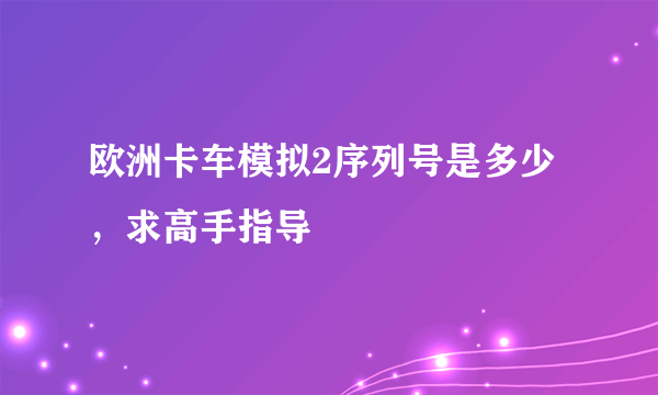 欧洲卡车模拟2序列号是多少，求高手指导