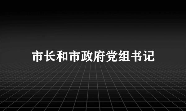 市长和市政府党组书记