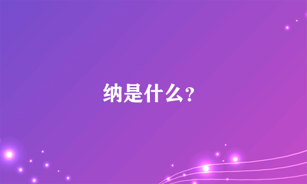 纳是什么？