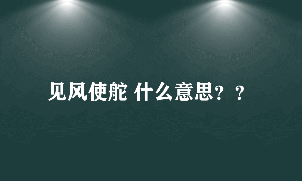 见风使舵 什么意思？？