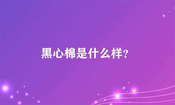 黑心棉是什么样？