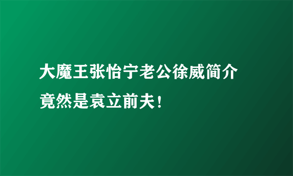 大魔王张怡宁老公徐威简介 竟然是袁立前夫！