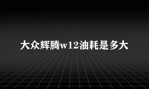 大众辉腾w12油耗是多大