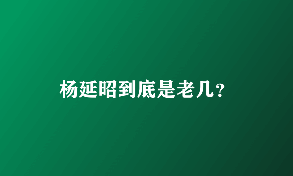 杨延昭到底是老几？