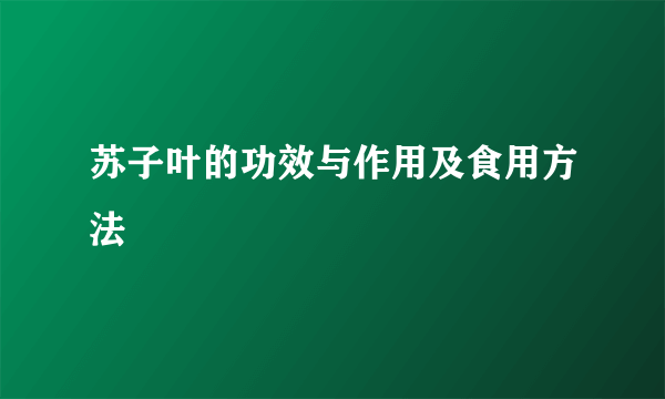 苏子叶的功效与作用及食用方法