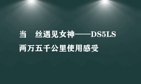 当屌丝遇见女神——DS5LS 两万五千公里使用感受