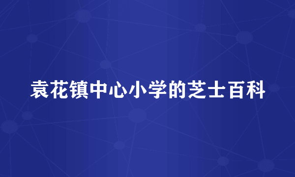 袁花镇中心小学的芝士百科