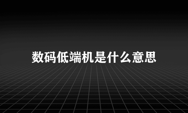 数码低端机是什么意思