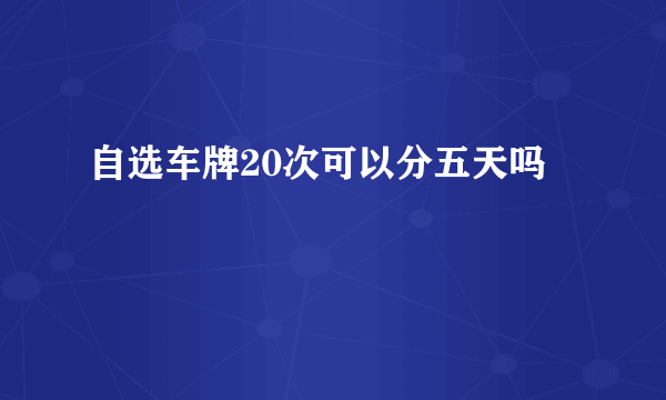 自选车牌20次可以分五天吗