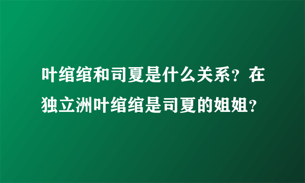 叶绾绾和司夏是什么关系？在独立洲叶绾绾是司夏的姐姐？