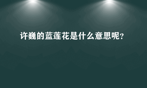 许巍的蓝莲花是什么意思呢？