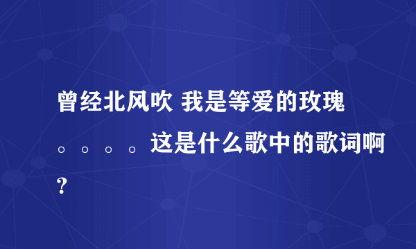 曾经北风吹 我是等爱的玫瑰。。。。这是什么歌中的歌词啊？