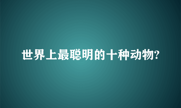 世界上最聪明的十种动物?