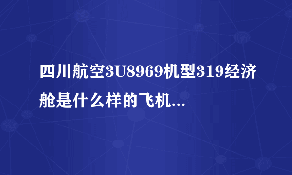 四川航空3U8969机型319经济舱是什么样的飞机有保障吗？