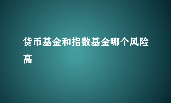 货币基金和指数基金哪个风险高