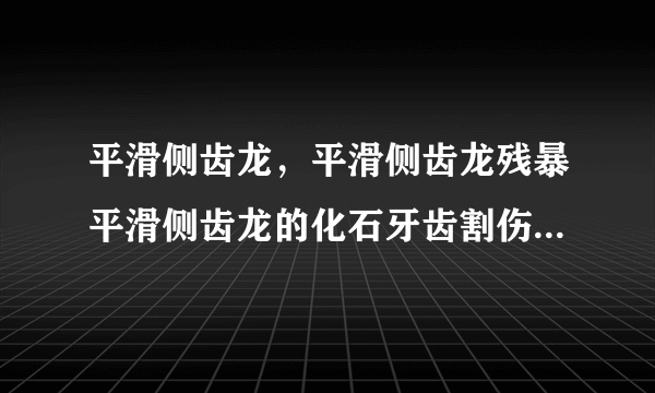 平滑侧齿龙，平滑侧齿龙残暴平滑侧齿龙的化石牙齿割伤人手-飞外网