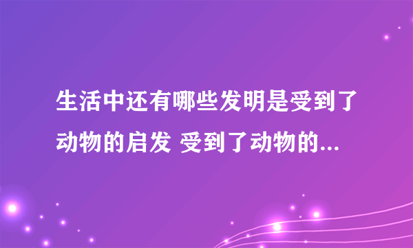 生活中还有哪些发明是受到了动物的启发 受到了动物的启发发明的东西