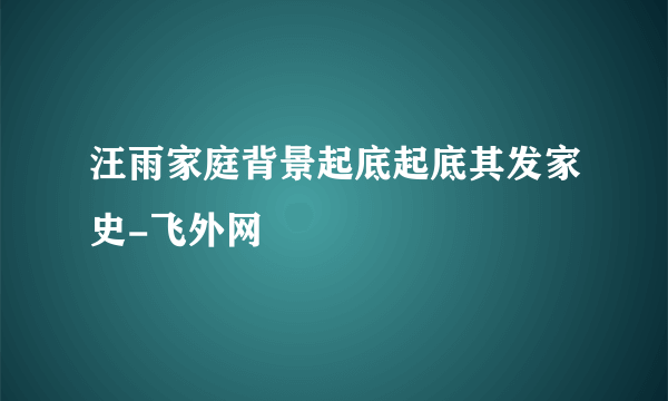 汪雨家庭背景起底起底其发家史-飞外网