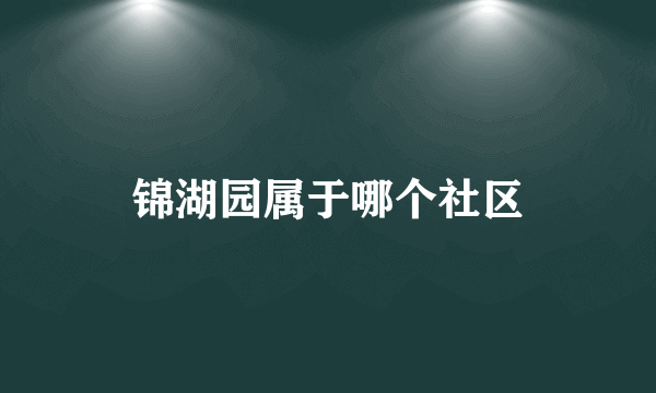 锦湖园属于哪个社区