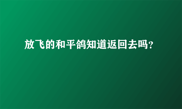 放飞的和平鸽知道返回去吗？