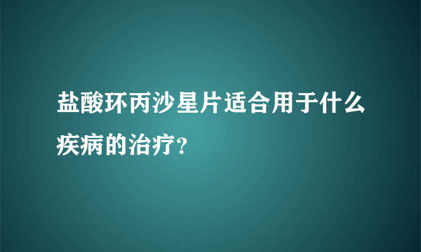 盐酸环丙沙星片适合用于什么疾病的治疗？