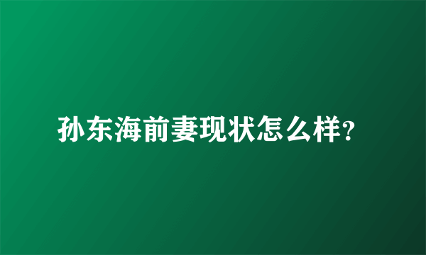 孙东海前妻现状怎么样？