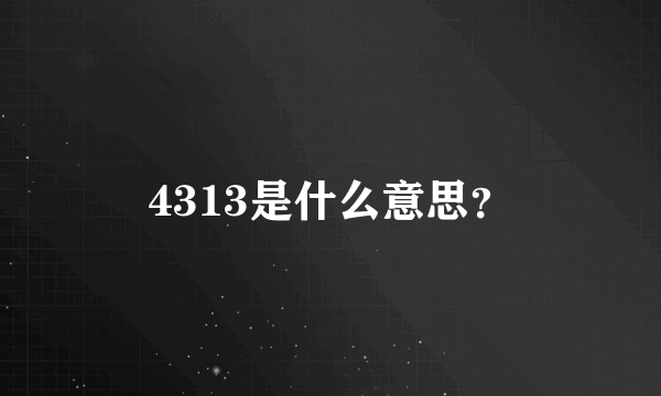 4313是什么意思？