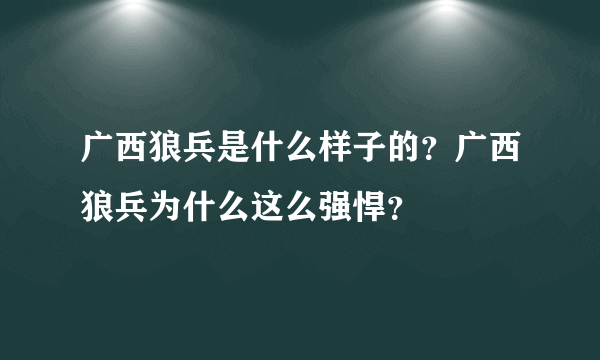 广西狼兵是什么样子的？广西狼兵为什么这么强悍？