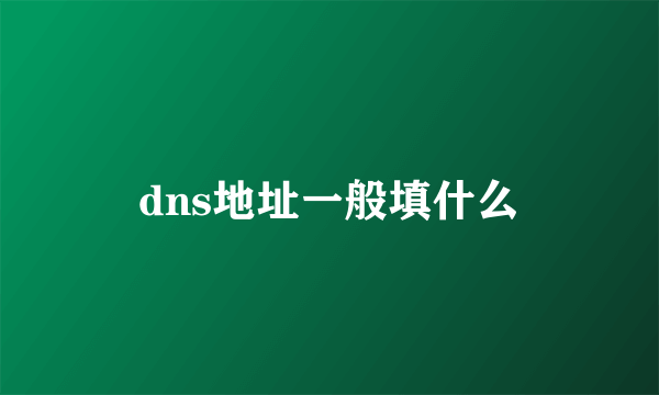 dns地址一般填什么